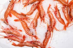 Sungiven Foods Spot Prawn